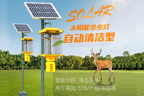 海南室外高桿殺蟲燈太陽能供電環保