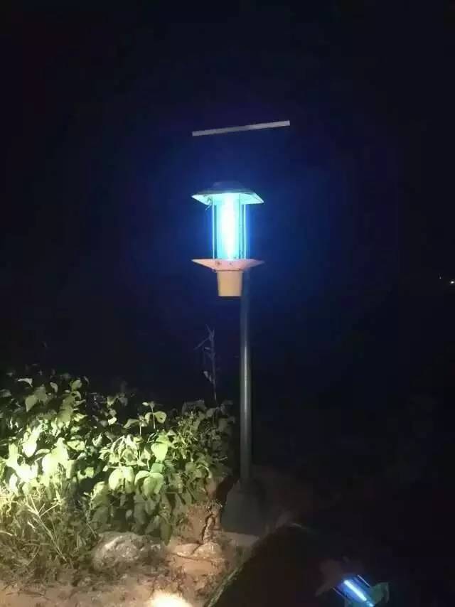 太陽能殺蟲燈哪家好？尚科殺蟲燈夜間工作圖片