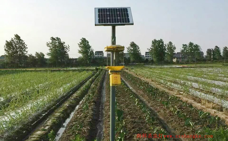 濟寧蔬菜種植園菜地太陽能殺蟲燈