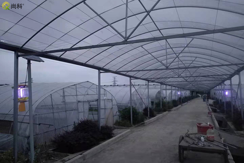 蔬菜種植基地太陽(yáng)能殺蟲(chóng)燈