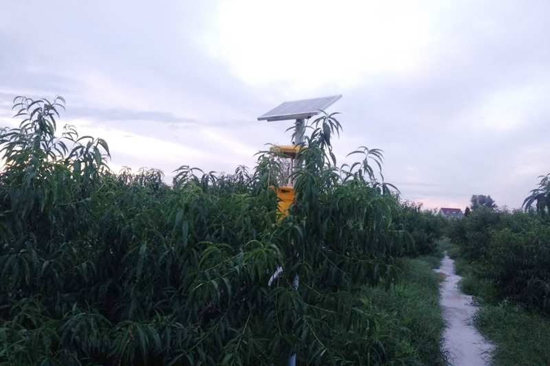 黑光燈多少錢？確定好黑光燈種類，不要買錯(cuò)了