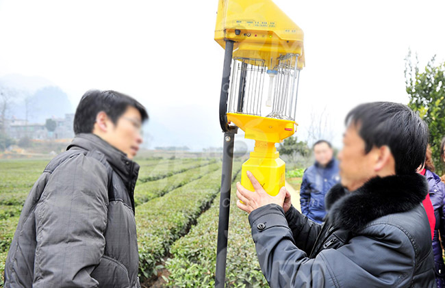 太陽能殺蟲燈燈具安裝攻略，注意事項大全，一定要看