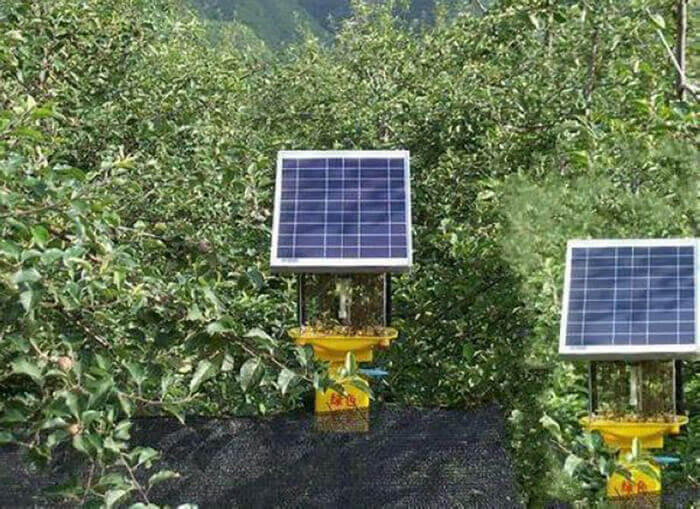 茶園殺蟲燈原理？探究茶園殺蟲燈的機(jī)理