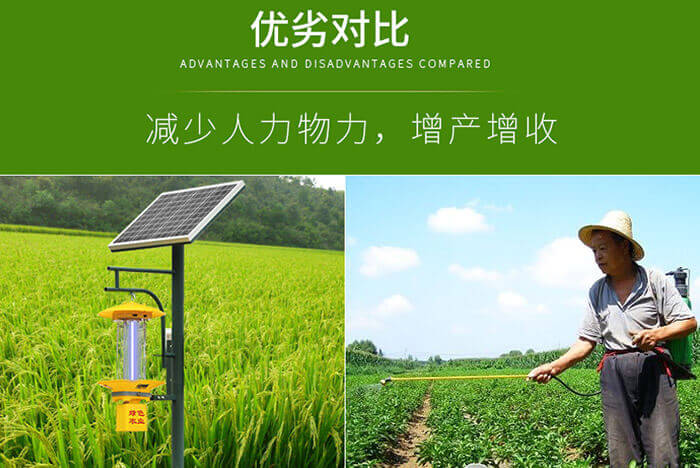 使用太陽(yáng)能殺蟲(chóng)燈對(duì)赤眼蜂的作用